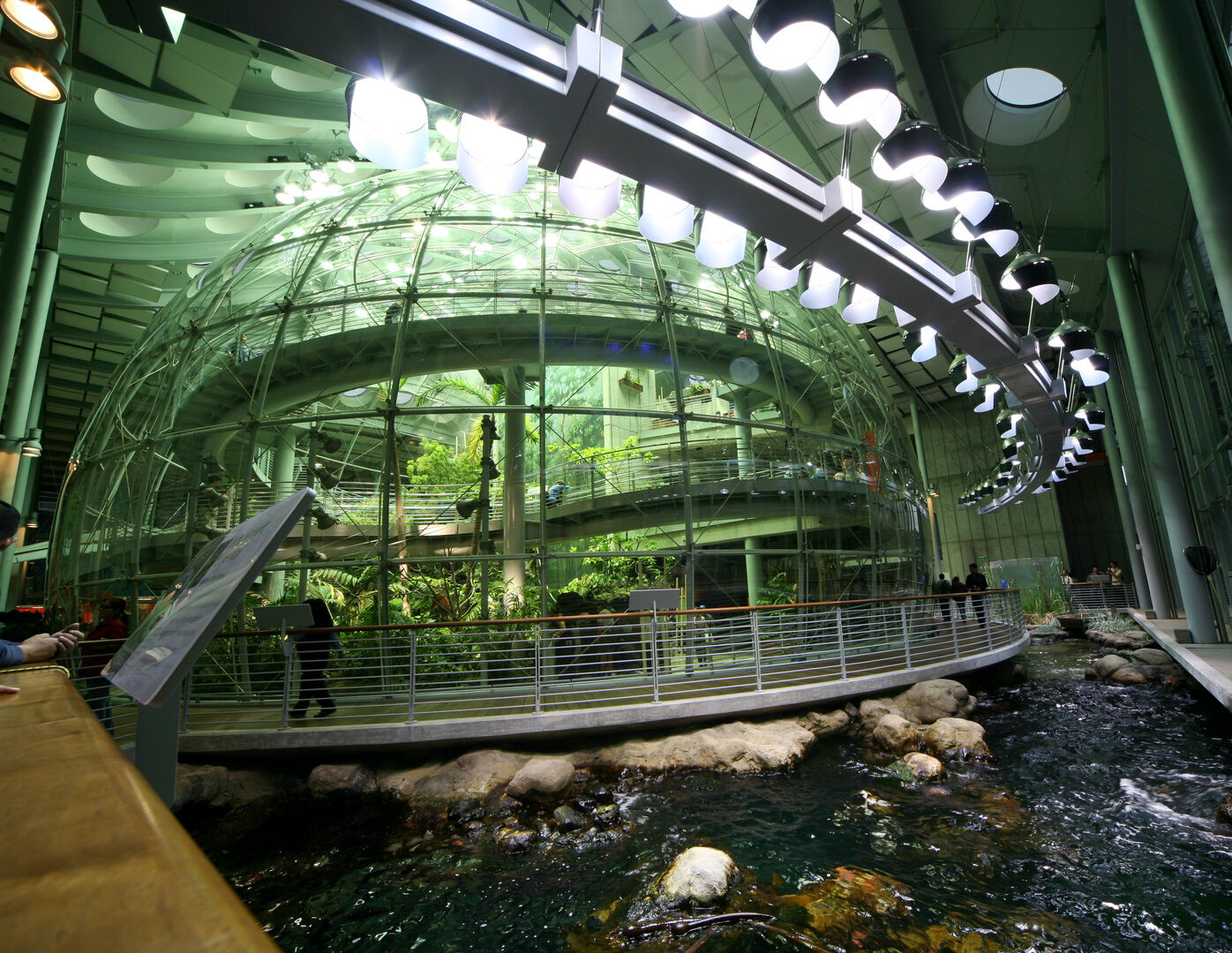 Interior exhibit at the California Academy of Sciences in Golden Gate Park